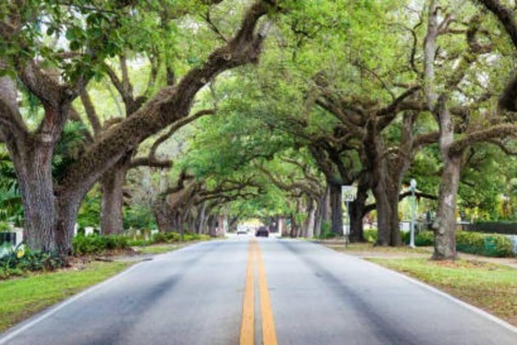 My Lovely Home In Miami 15 Minutes From The Beach Eksteriør billede
